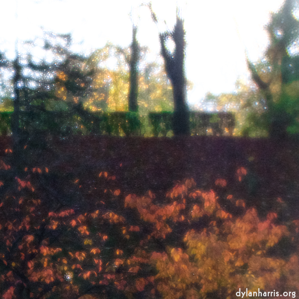 image: This is &lsquo;parc (xl) 3&rsquo;.