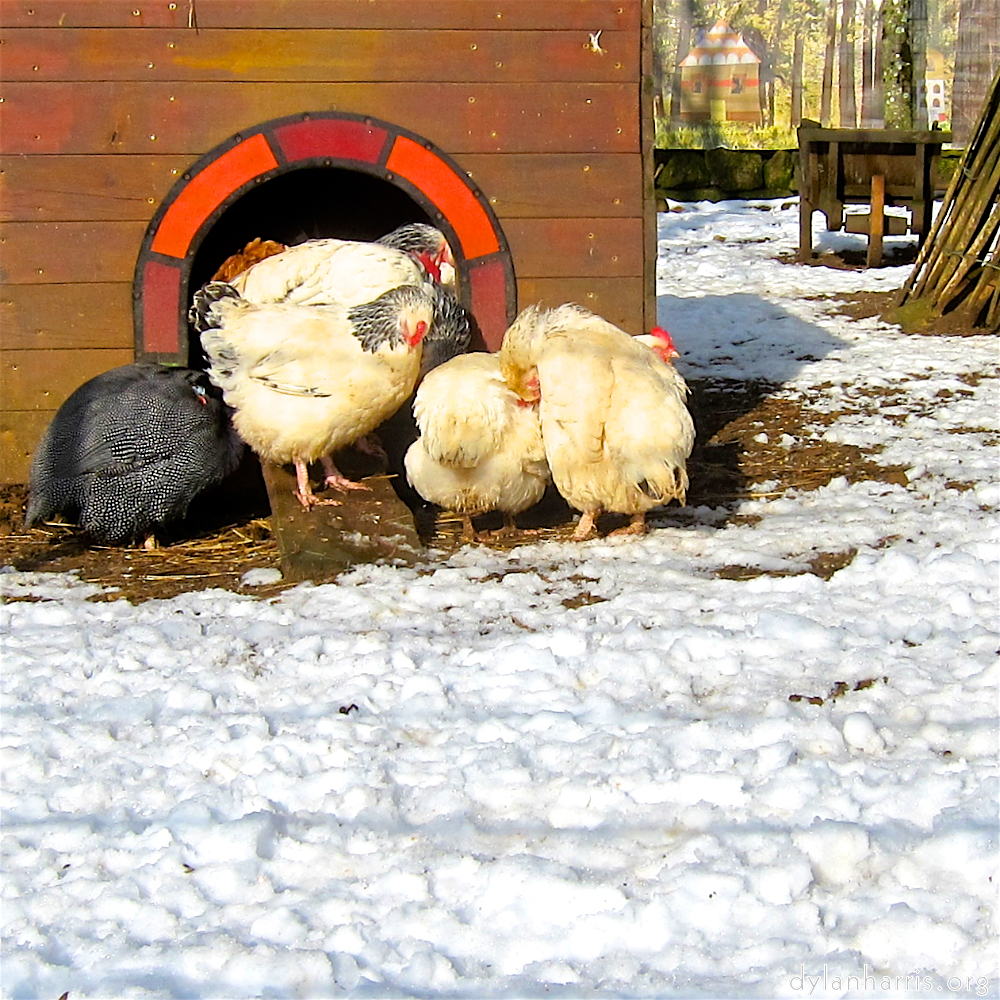 image: Image 'esch&ndash;sur&ndash;alzette (xx) 1', at Escher D&eacute;iereesch.