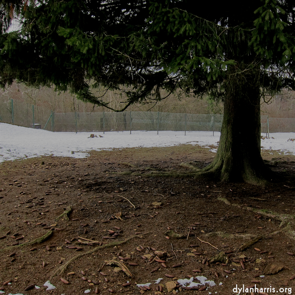 image: Image 'esch&ndash;sur&ndash;alzette (xx) 3', at Escher D&eacute;iereesch, the head and crest of a chicken.
