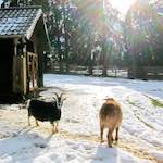 image: Image from the photoset &lsquo;esch&ndash;sur&ndash;alzette (xx)&rsquo;.