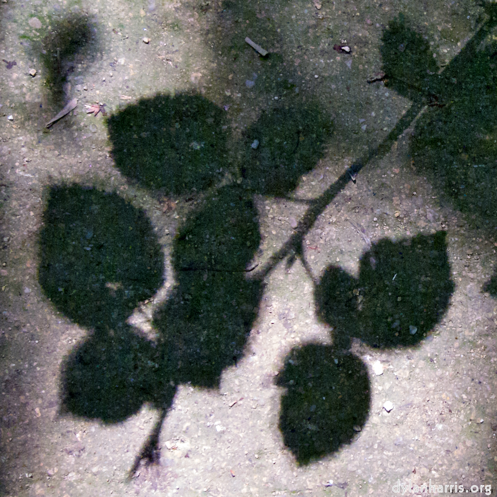 Image 'parc (viii) 4'.