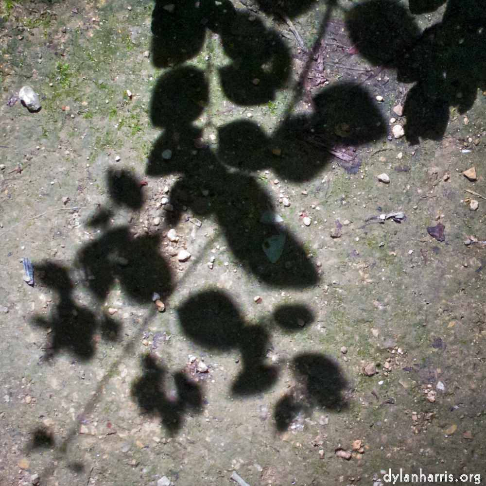 Image 'parc (viii) 6'.