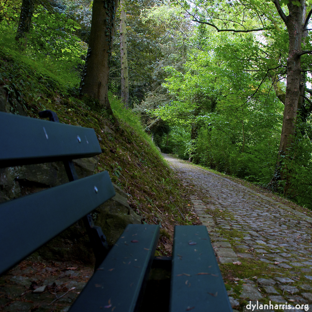 Image 'parc (ix) 1'.