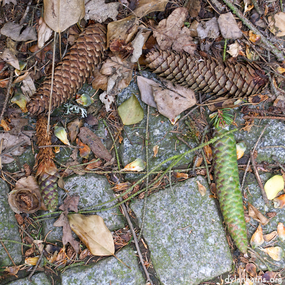 Image: Image 'parc (ix) 4'.