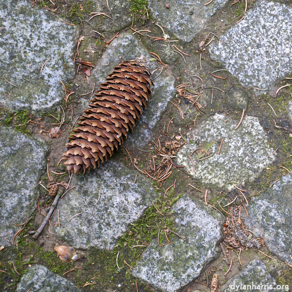 Image 'parc (ix) 5'.