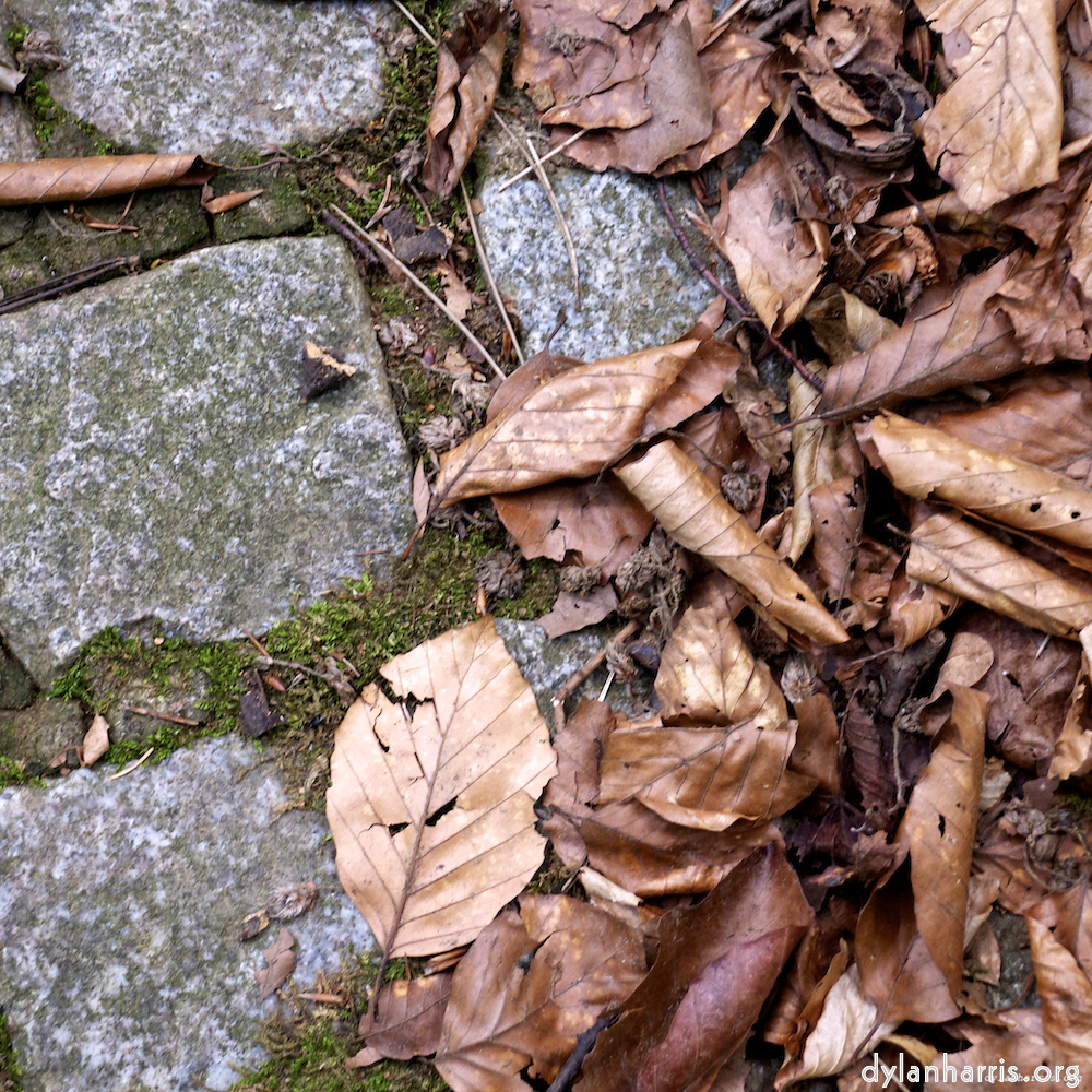 Image 'parc (ix) 6'.