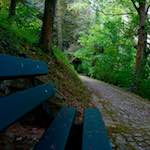 First image from the photoset 'parc (ix)'.