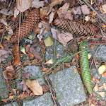 Fourth image from the photoset 'parc (ix)'.