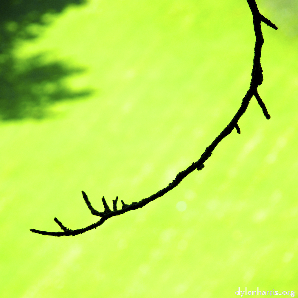 Image 'grund (ii) 2'.