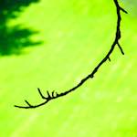 Second image from the photoset 'grund (ii)'.