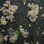 Second image from the photoset 'clausen (i)'.