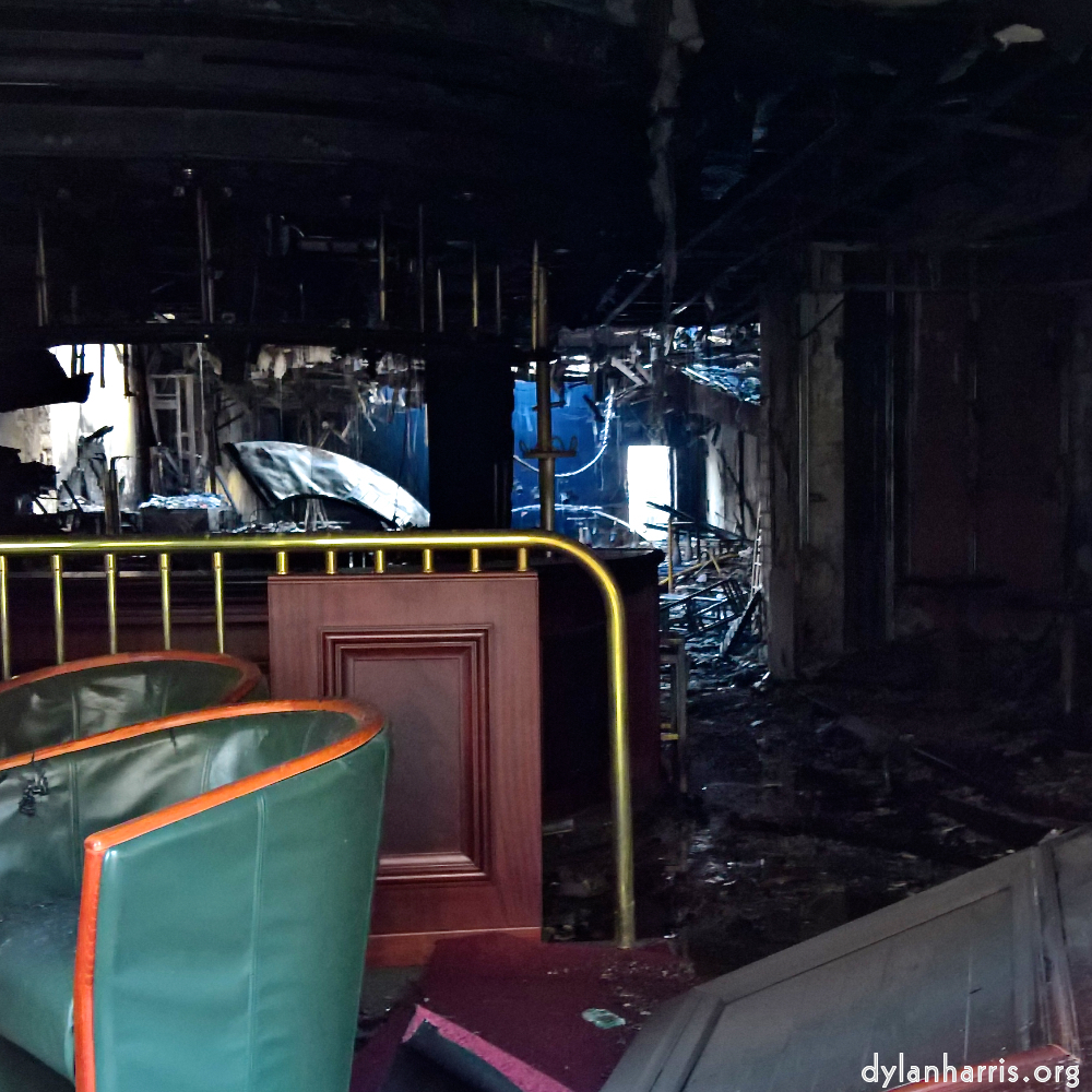 Image: Image 'esch&ndash;sur&ndash;alzette (xvii) 2', at Escher D&eacute;iereesch, head and torso of a doe.