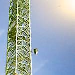 Image: Second image from the photoset 'konscht am gronn (ii)'.