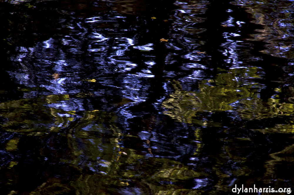 Image: Image 'leaf (iii) 1'.