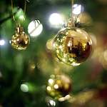 image: Image from the photoset &lsquo;auto (xi)&rsquo;.