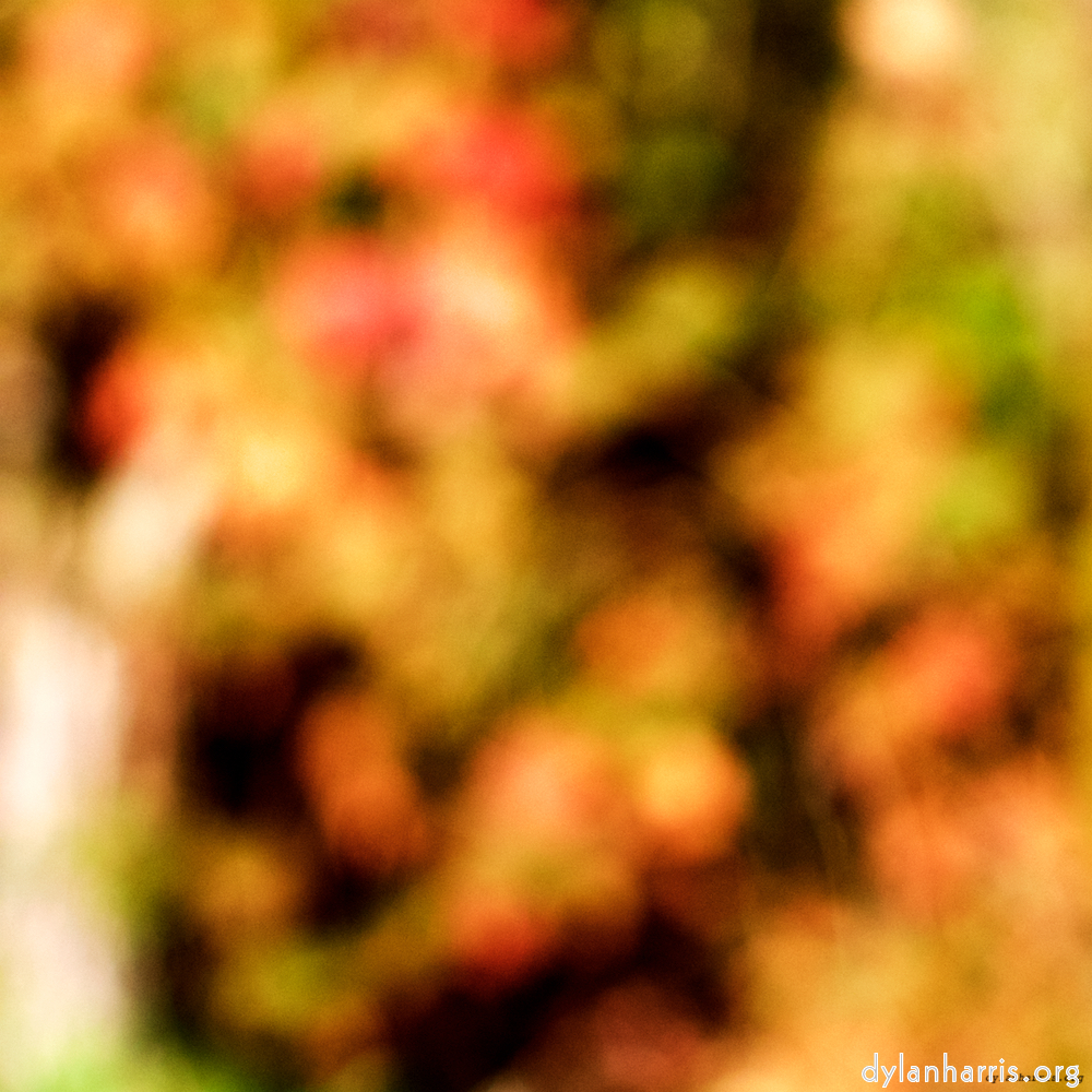 Image: Image 'wood (xx) 4'