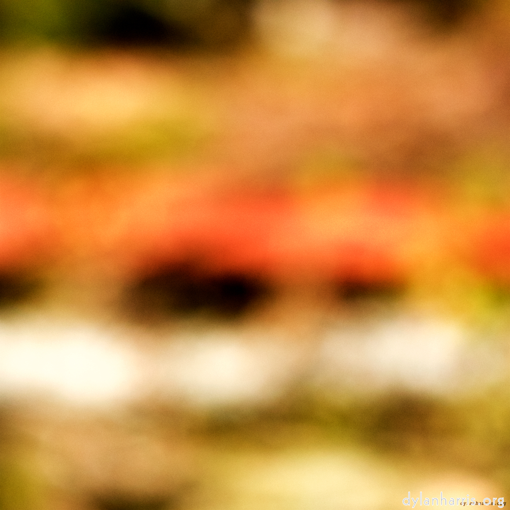 Image: Image 'wood (xx) 5'.