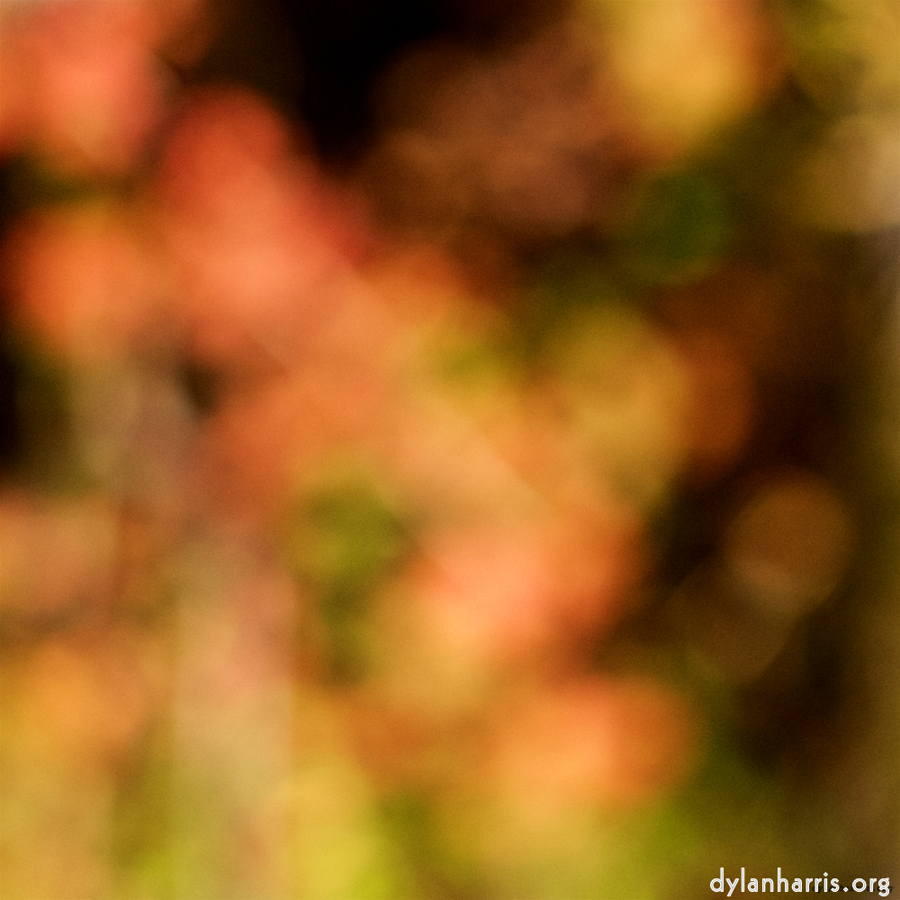 Image: Image 'wood (xx) 6'