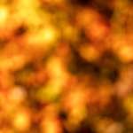 image: Image from the photoset &lsquo;wood (xx)&rsquo;.