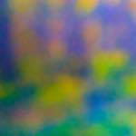 image: Image from the photoset &lsquo;wood (xx)&rsquo;.