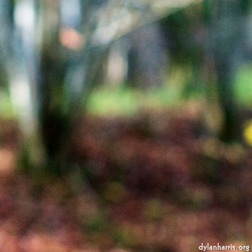 Image: Image 'wood (xxi) 2'