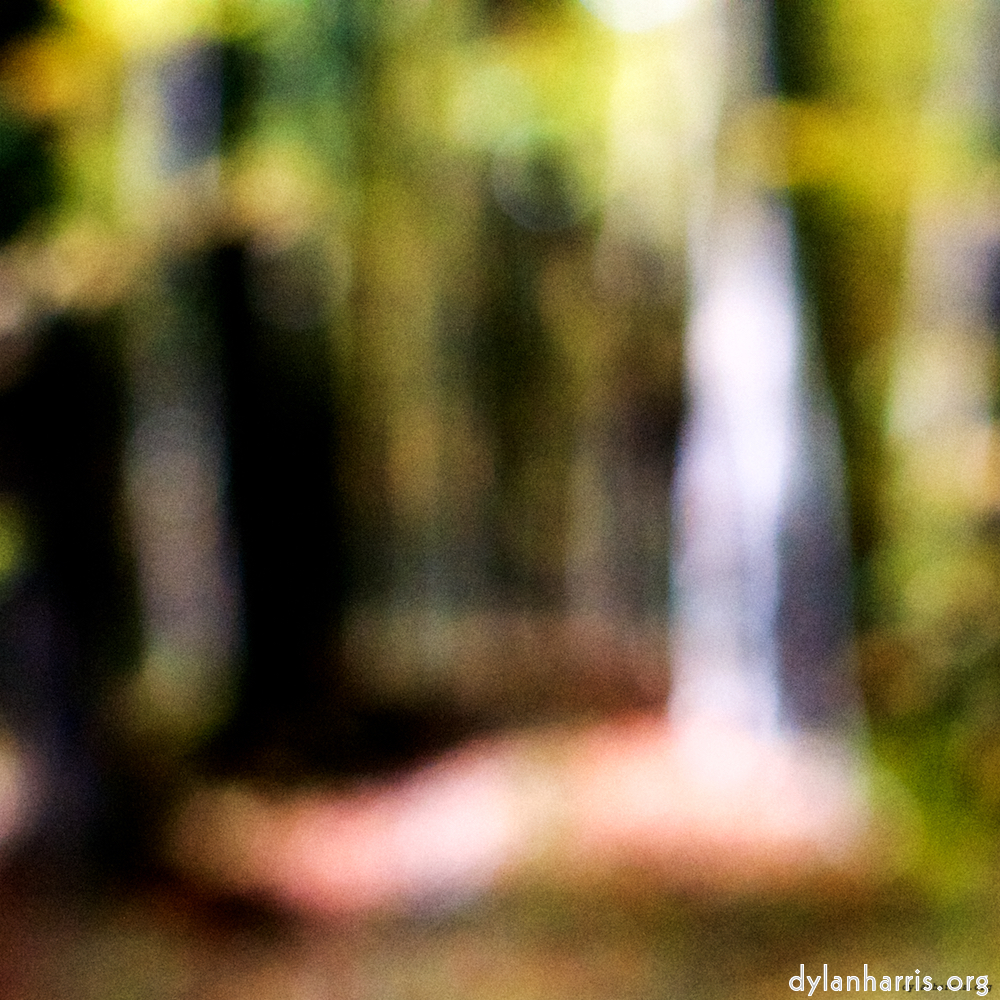 Image 'wood (xxi) 5'.