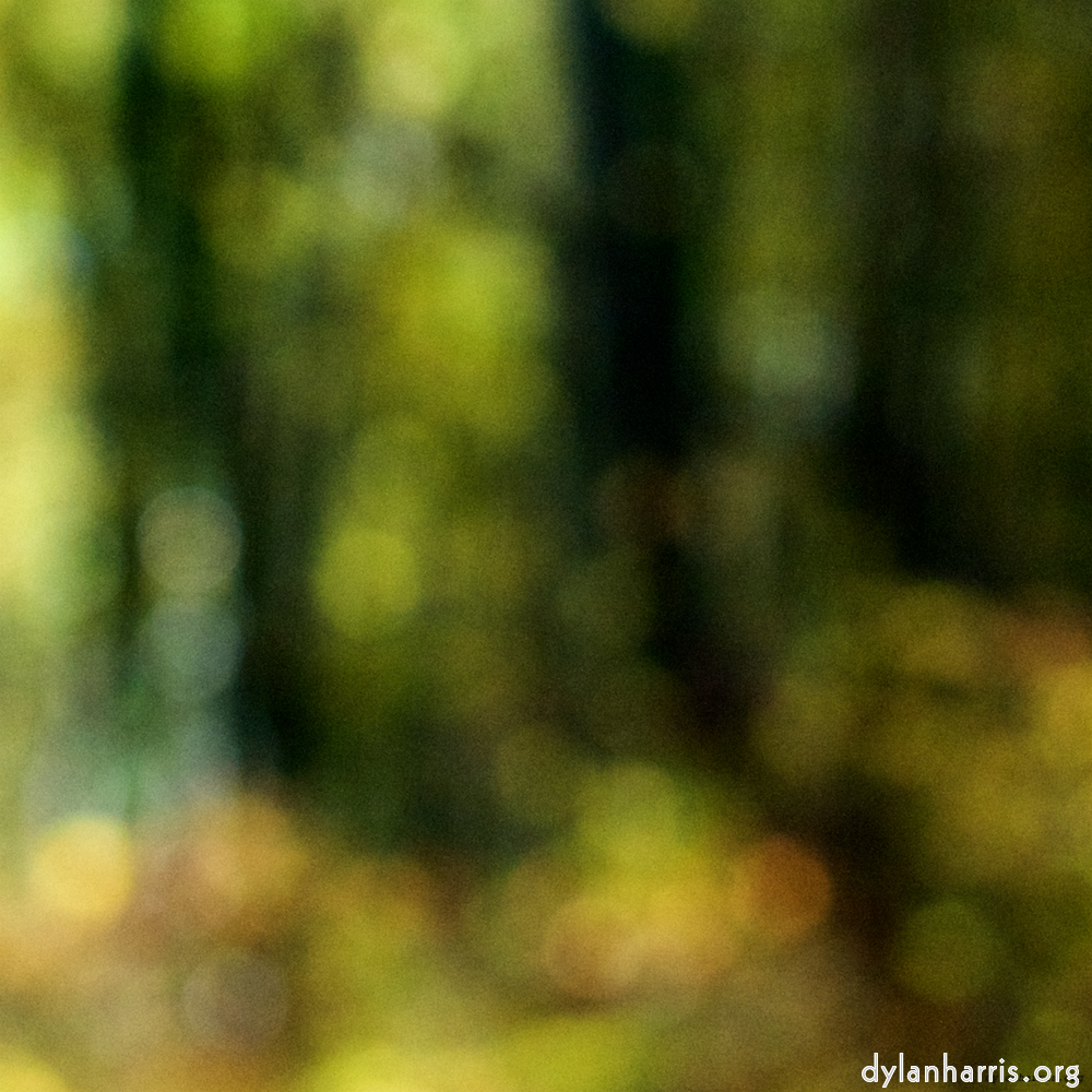 Image 'wood (xxi) 7'.