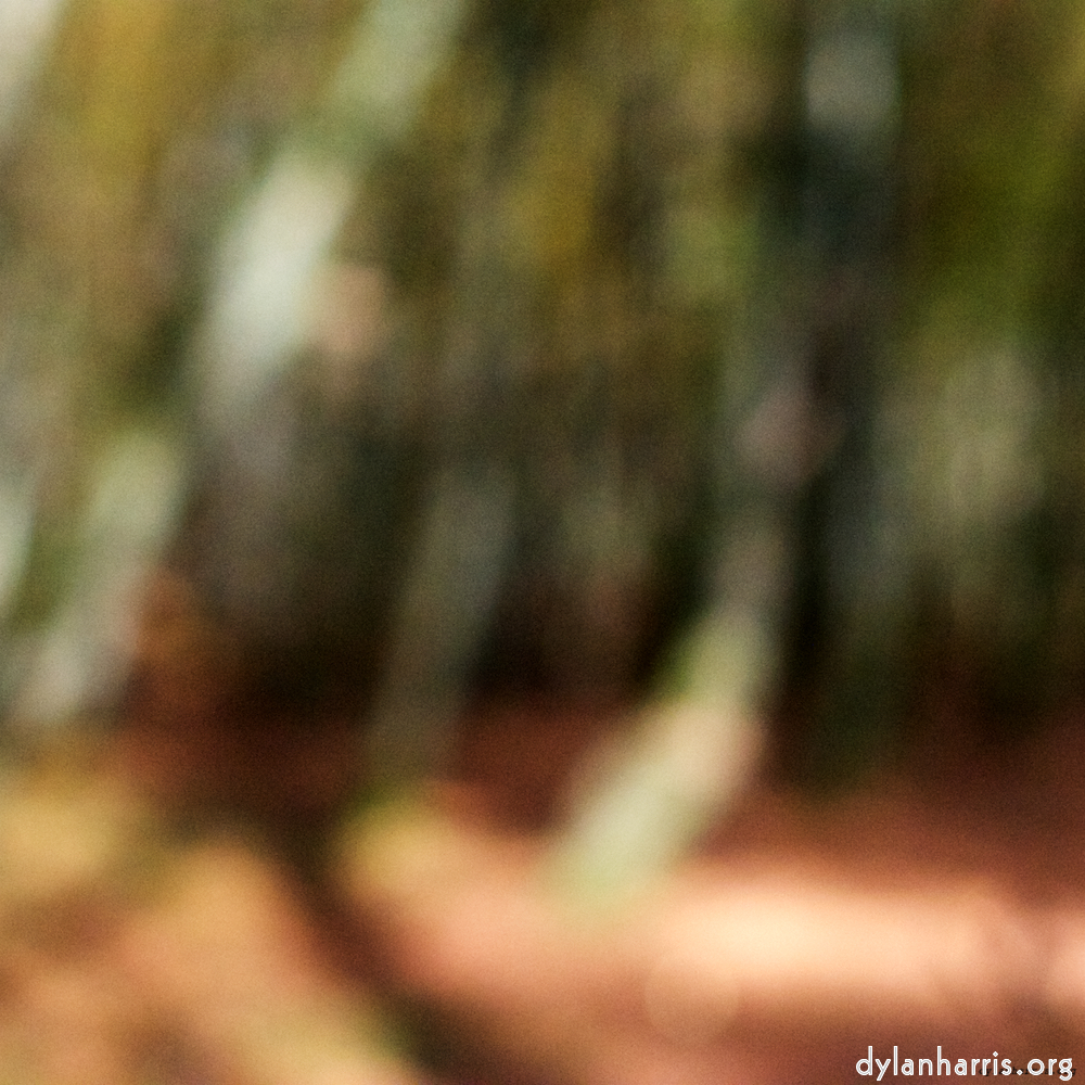 Image 'wood (xxii) 1'