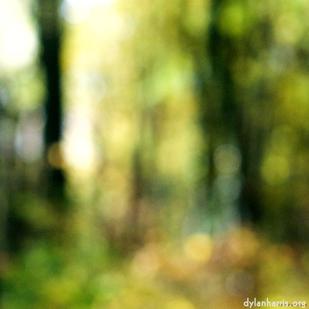 Image: Image 'wood (xxii) 2'