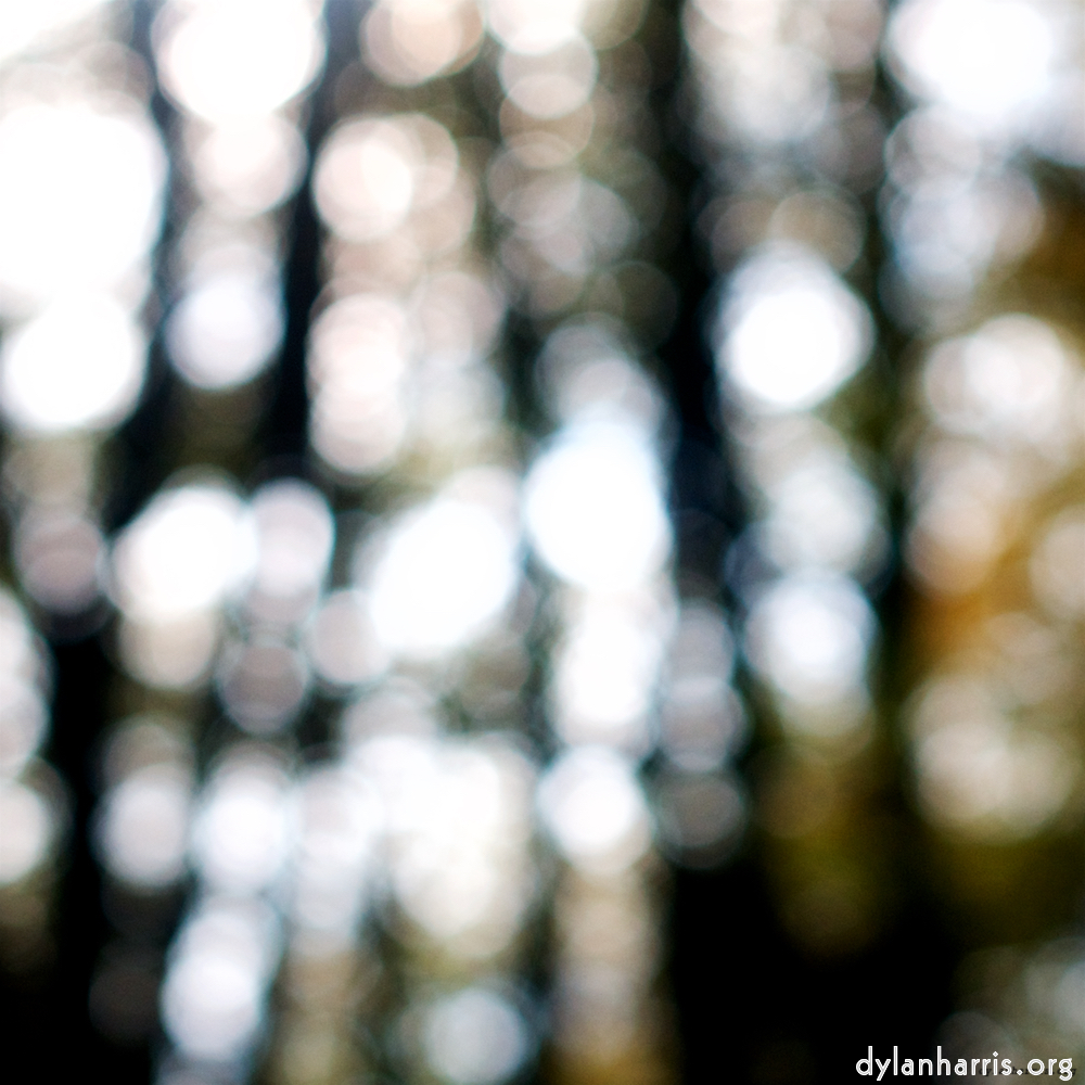 Image 'wood (xxii) 3'