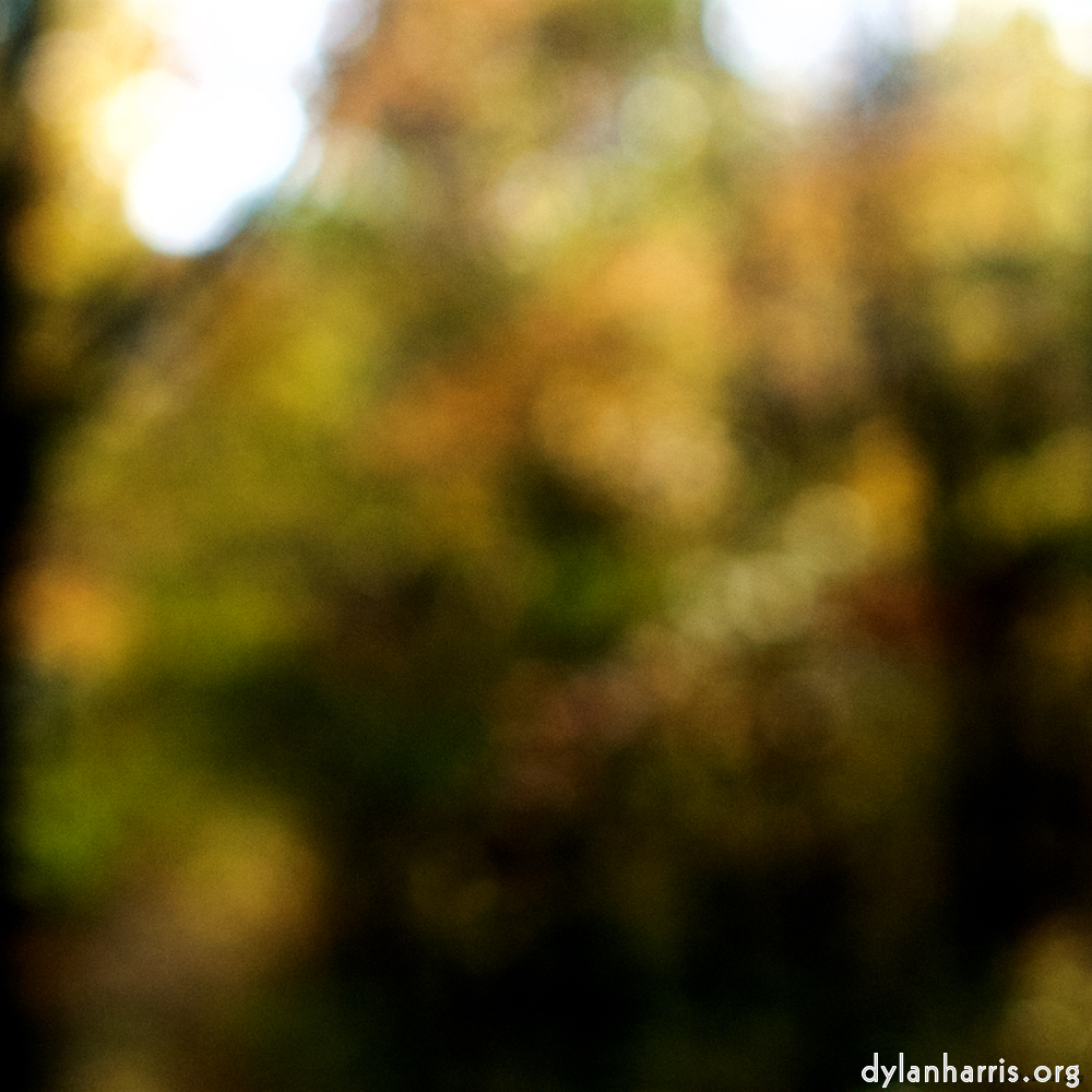 Image: Image 'wood (xxiii) 2'