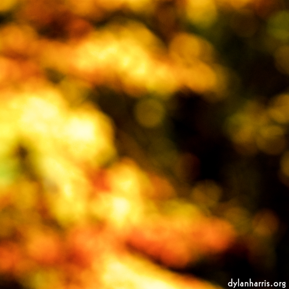 image: Image 'wood (xxiii) 4'