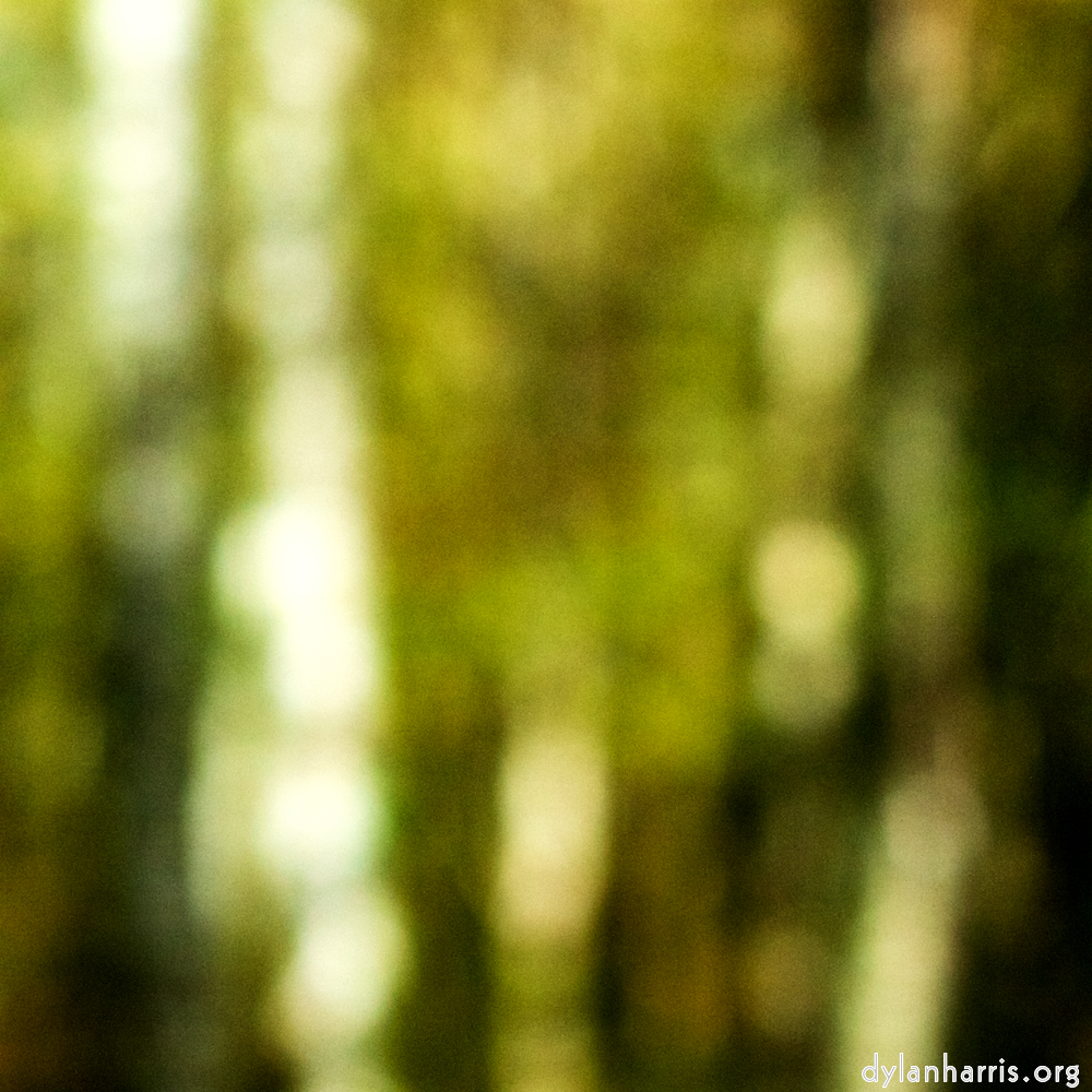 Image: Image 'wood (xxiii) 5'.