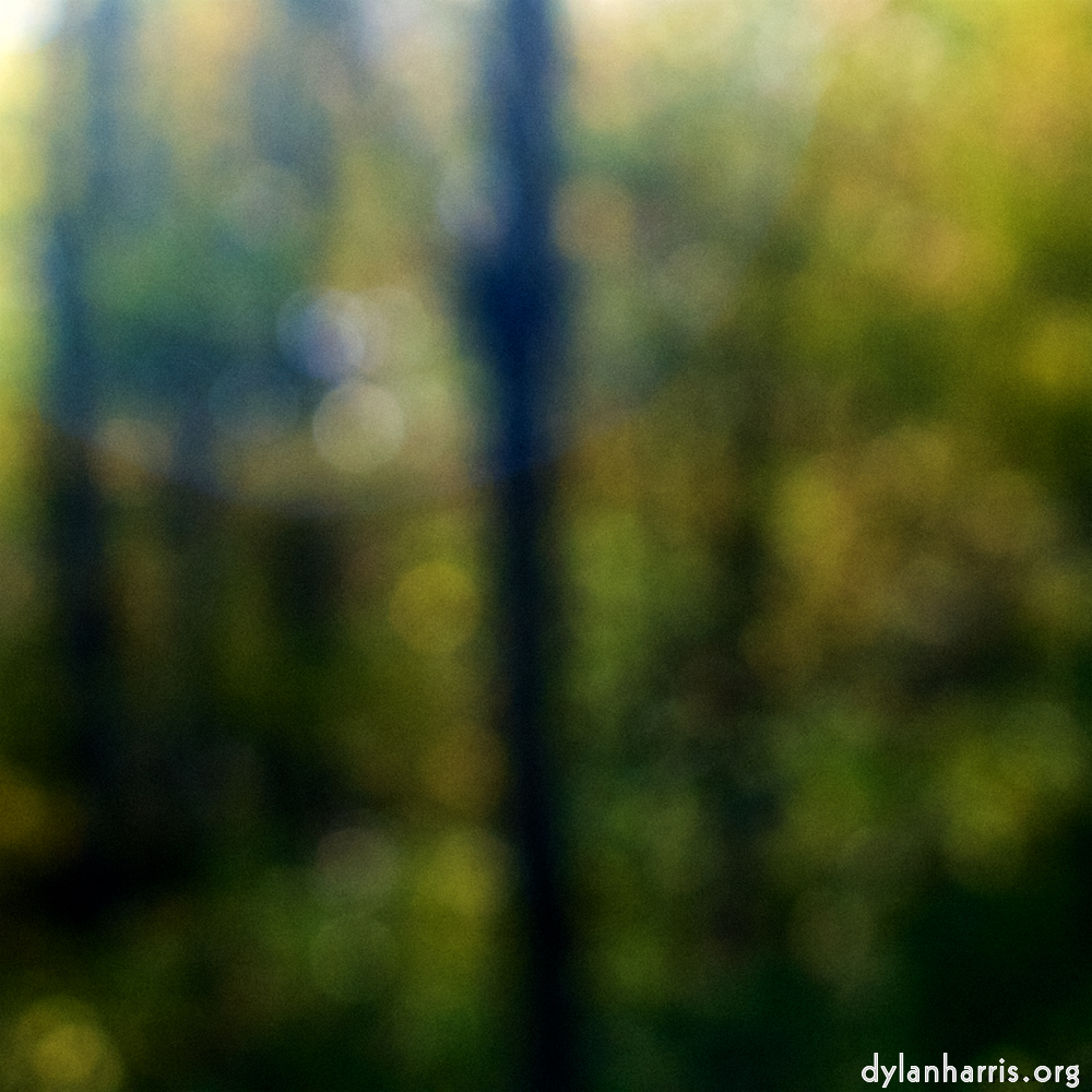 Image: Image 'wood (xxiii) 6'