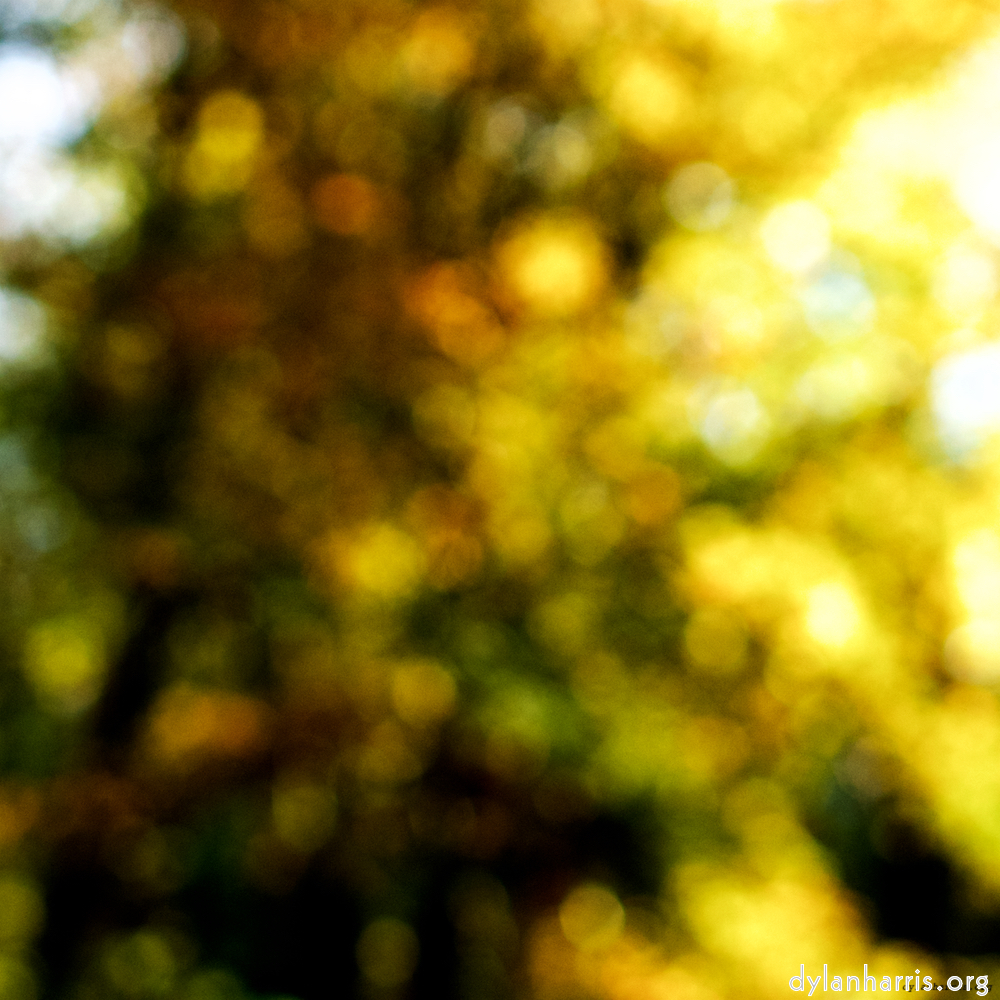 Image: Image 'wood (xxiv) 1'