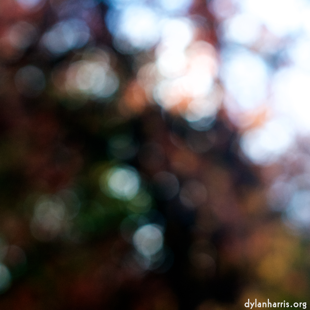 Image: Image 'wood (xxiv) 2'