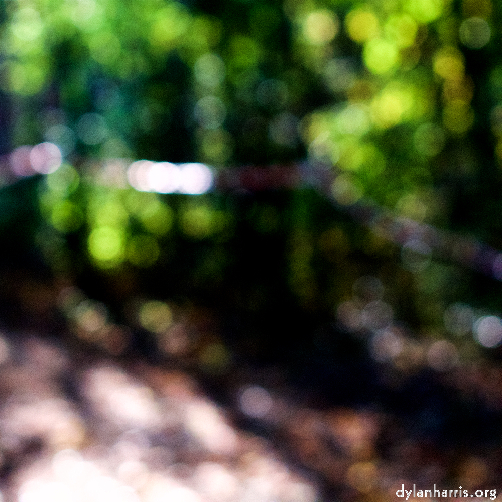 Image: Image 'wood (xxiv) 6'