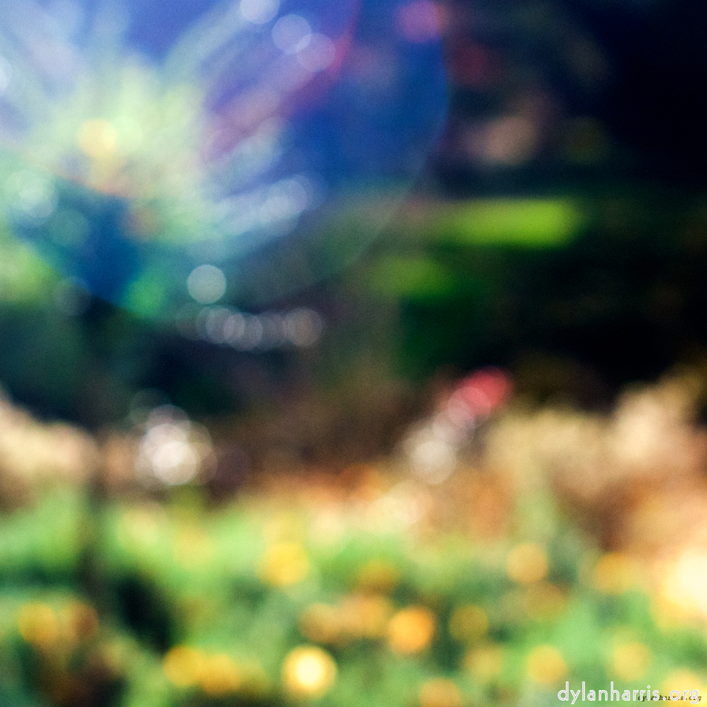 Image: Image 'wood (xxiv) 8'