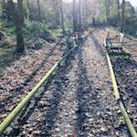 image: Image from the photoset &lsquo;south (ii)&rsquo;.