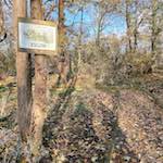 image: Image from the photoset &lsquo;south (ii)&rsquo;.