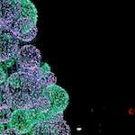 Third image from the photoset 'dublin (xiii)'.