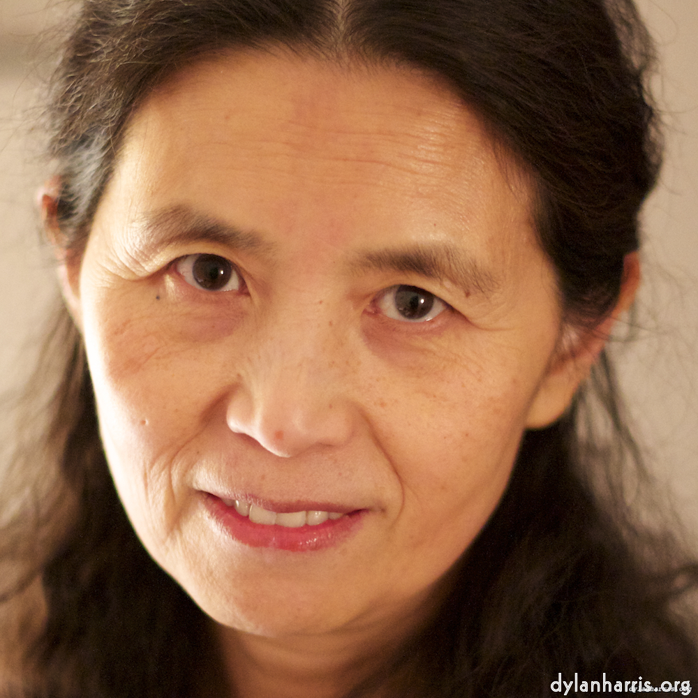 image: This is &lsquo;L (i) 2&rsquo;.