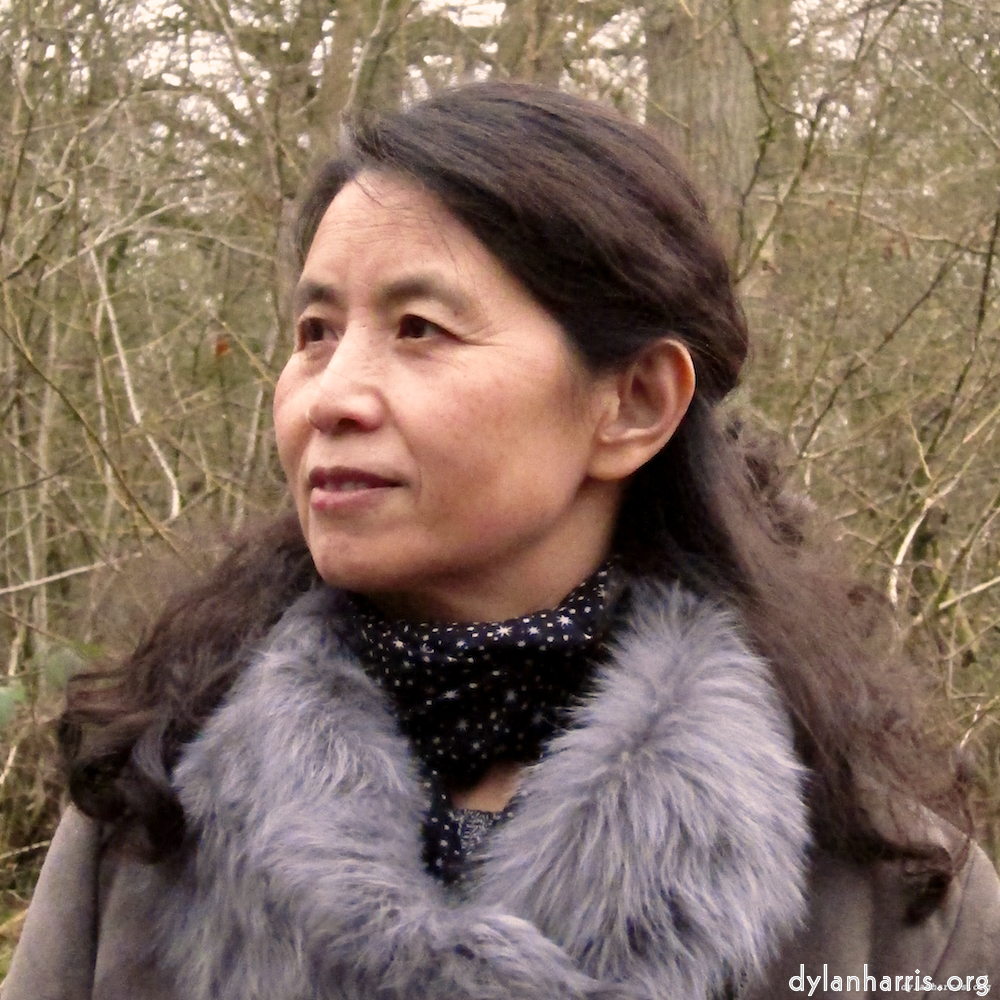 image: This is &lsquo;L (i) 3&rsquo;.