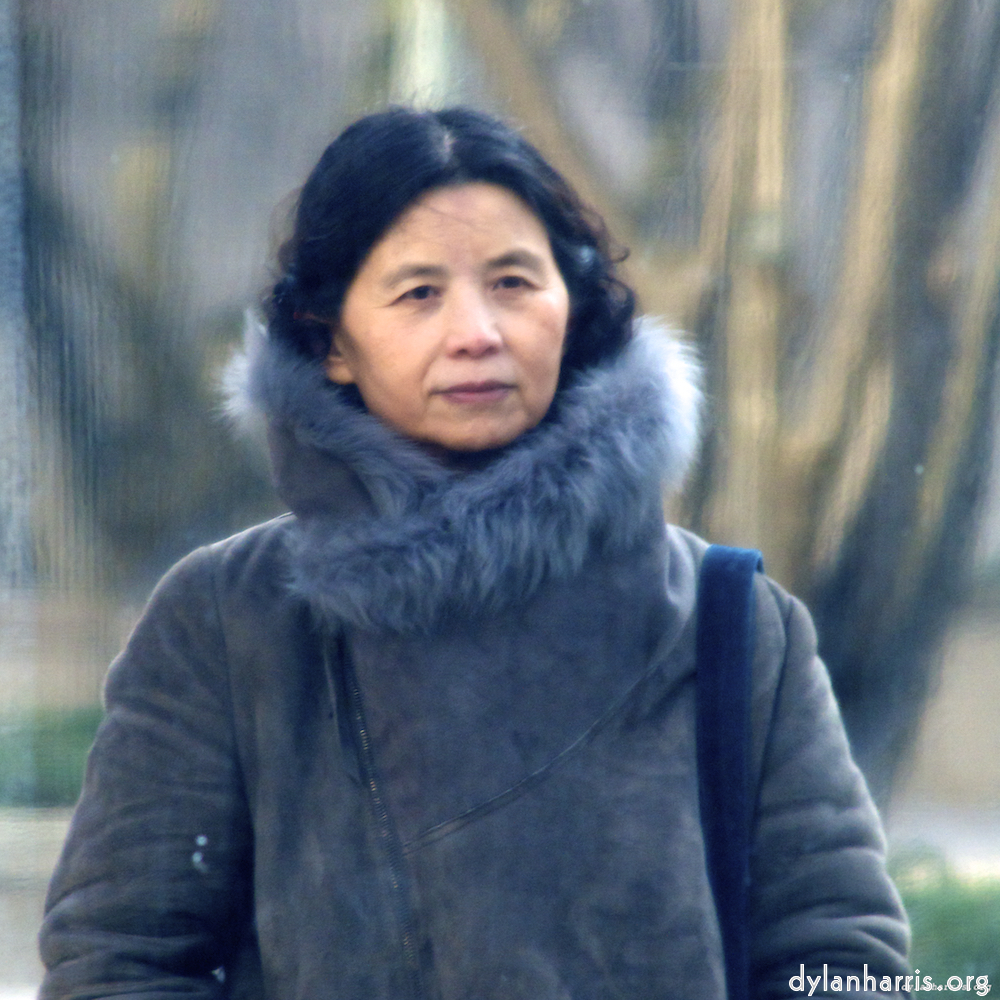 image: This is &lsquo;L (i) 4&rsquo;.