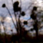 Second image from the photoset 'paris (iii)'.