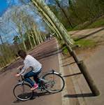 Third image from the photoset 'paris (iii)'.