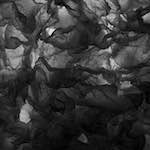 Sixth image from the photoset 'paris (iii)'.