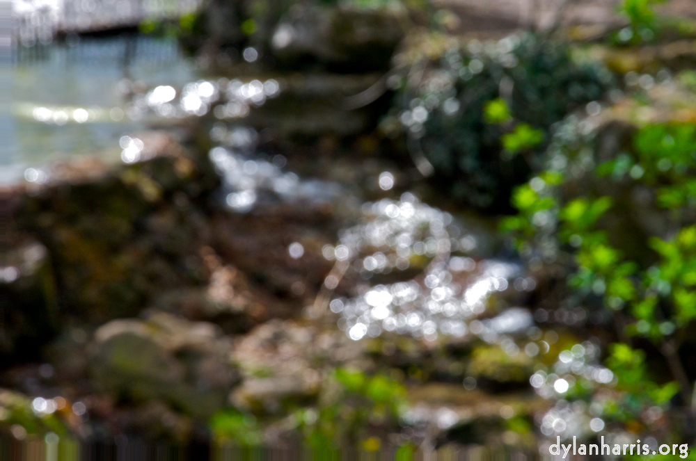 Image 'parc (i) 12'.