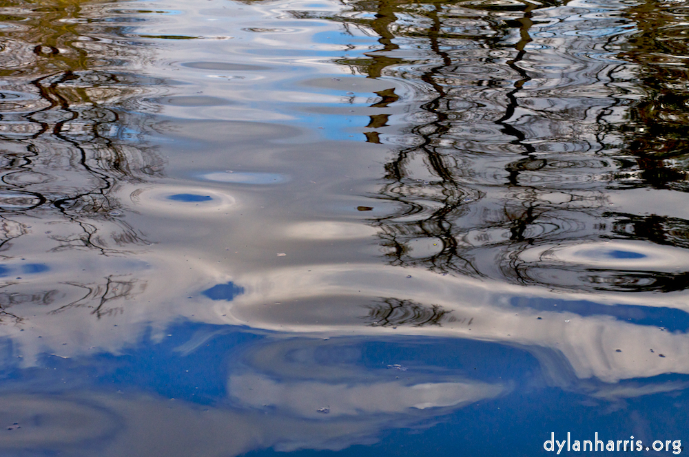 Image: Image 'parc (i) 3'.