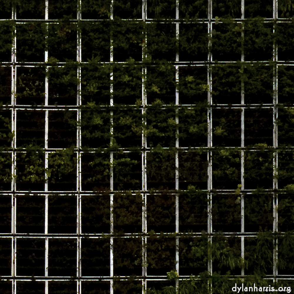 Image 'paris (xii) 2'.